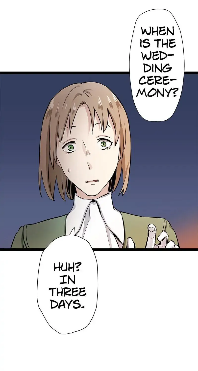 Nullitas ~The Counterfeit Bride~ Chapter 17 page 24 - 