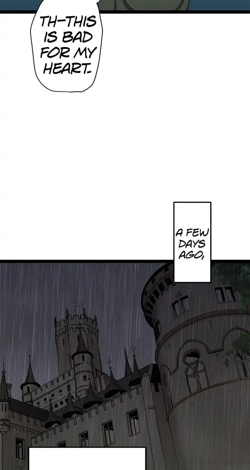 Nullitas ~The Counterfeit Bride~ Chapter 17 page 9 - 