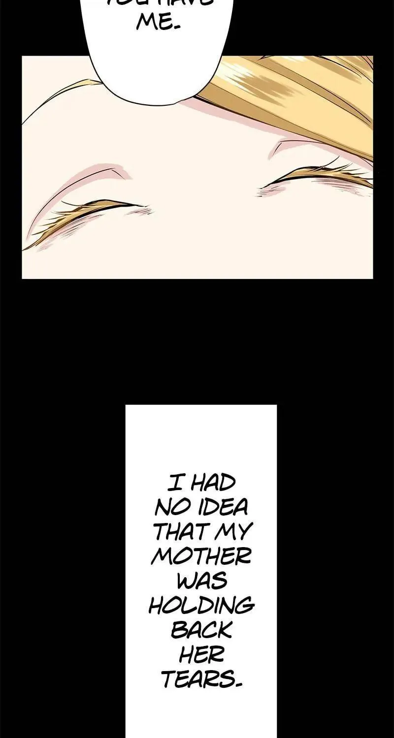 Nullitas ~The Counterfeit Bride~ Chapter 18 page 18 - 