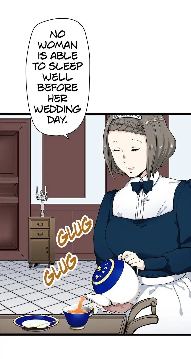 Nullitas ~The Counterfeit Bride~ Chapter 19 page 58 - 
