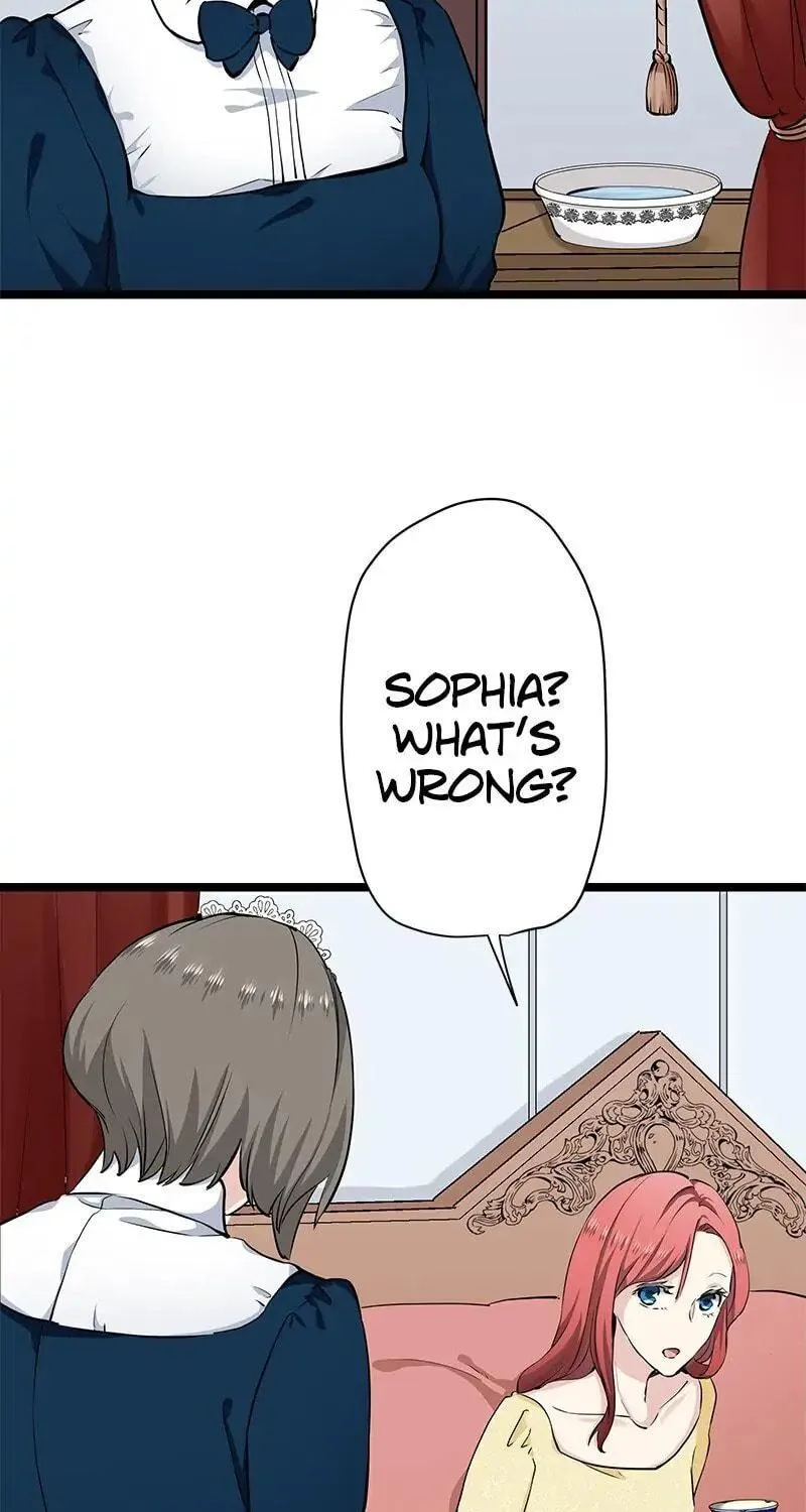 Nullitas ~The Counterfeit Bride~ Chapter 19 page 62 - 