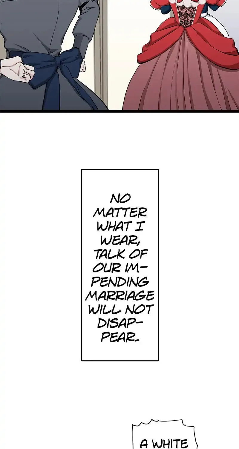 Nullitas ~The Counterfeit Bride~ Chapter 20 page 25 - 
