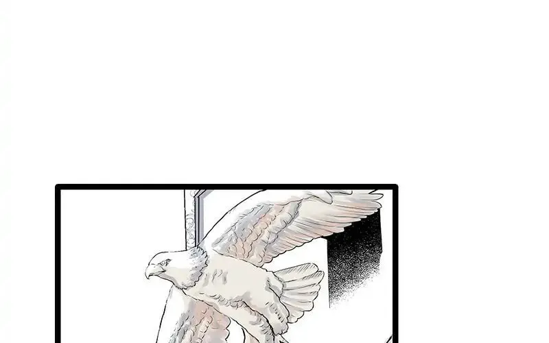Nullitas ~The Counterfeit Bride~ Chapter 20 page 35 - 