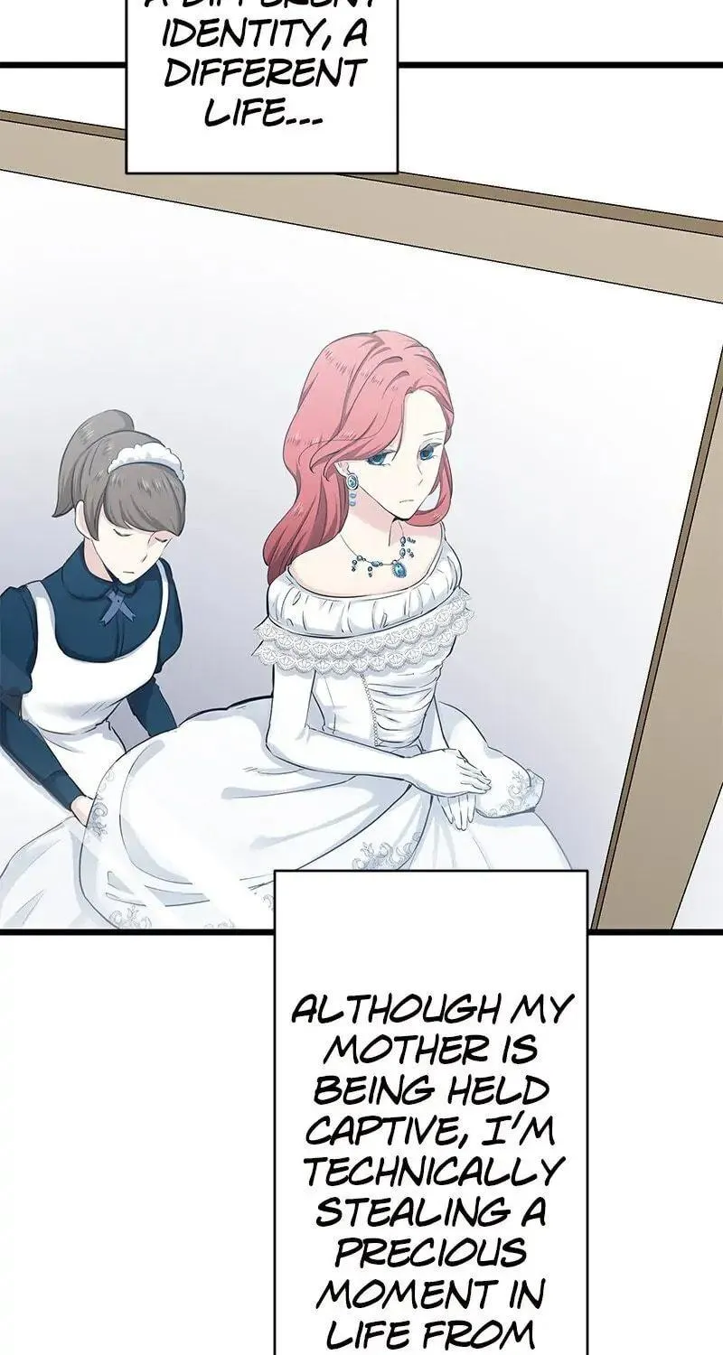 Nullitas ~The Counterfeit Bride~ Chapter 21 page 47 - 