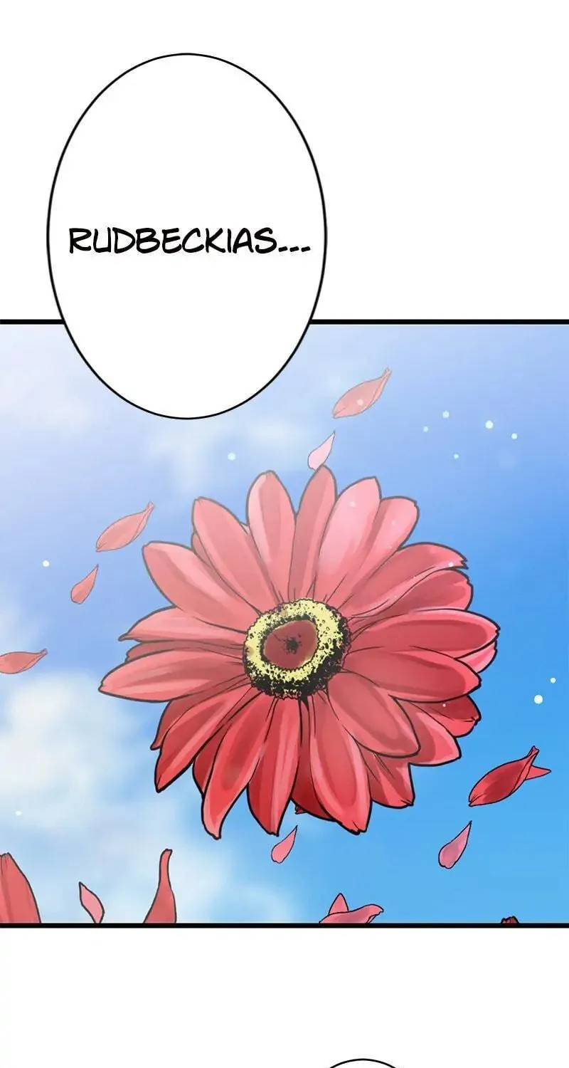 Nullitas ~The Counterfeit Bride~ Chapter 21 page 78 - 