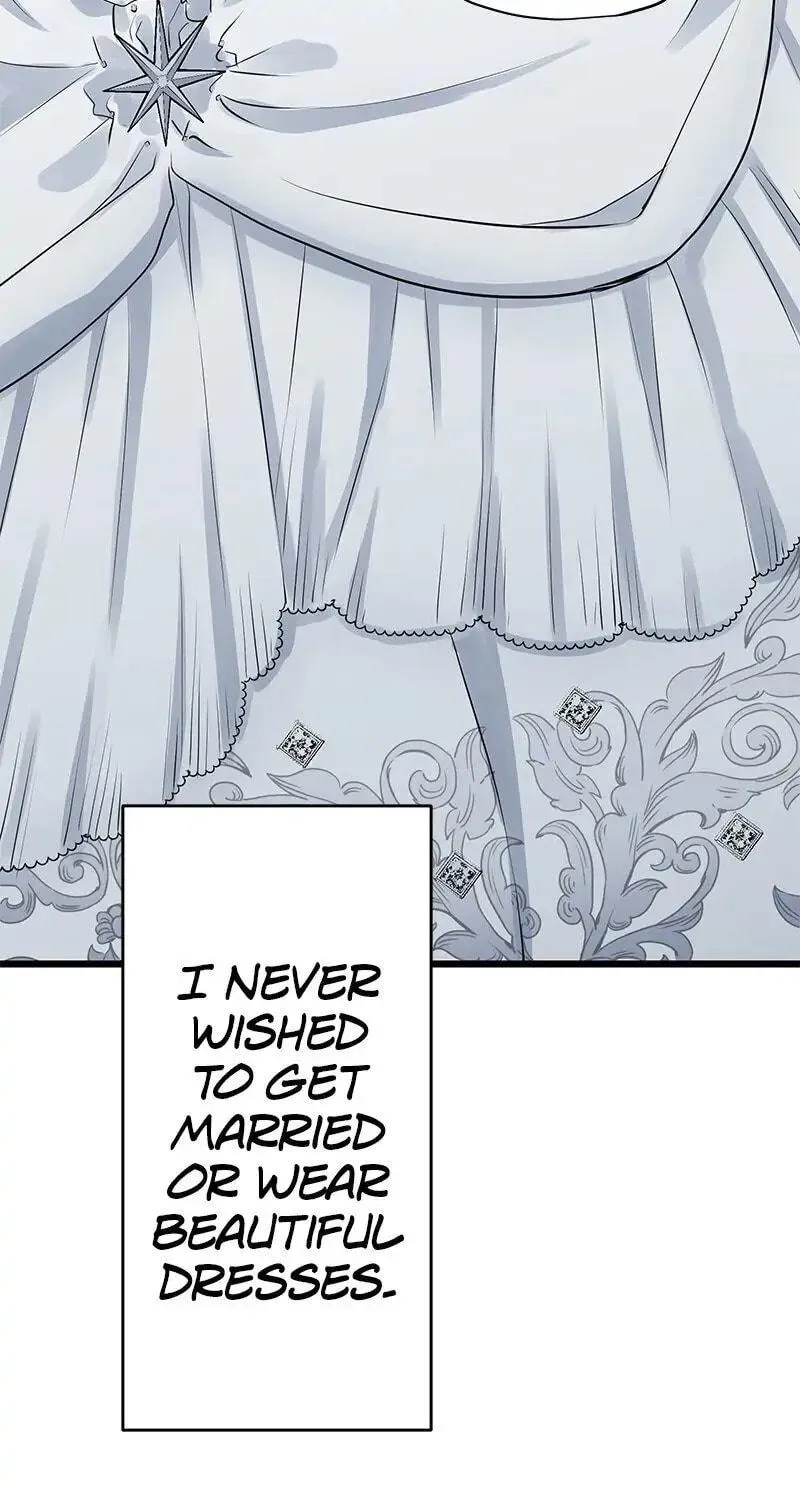 Nullitas ~The Counterfeit Bride~ Chapter 22 page 27 - 