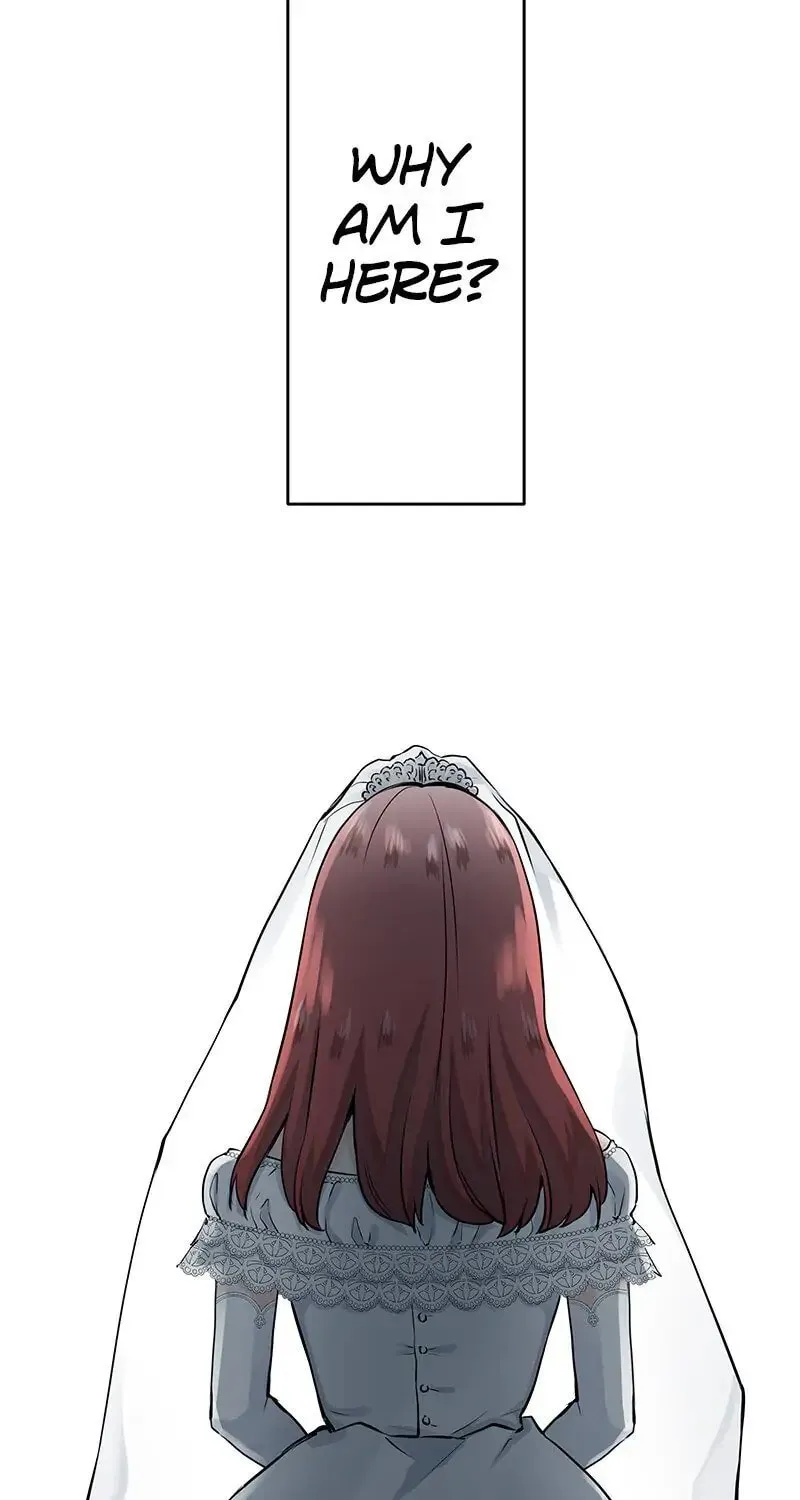 Nullitas ~The Counterfeit Bride~ Chapter 22 page 29 - 
