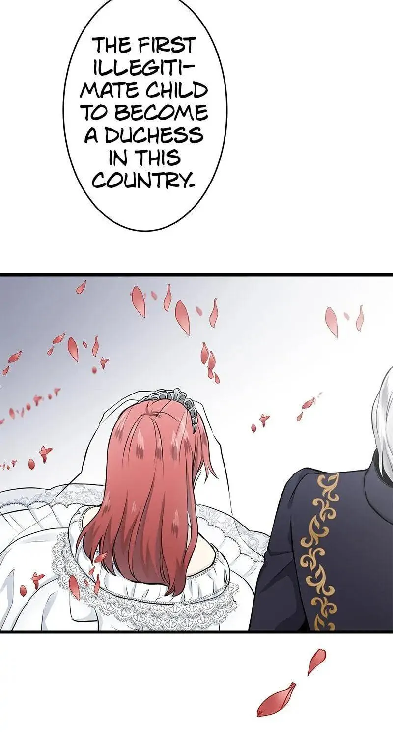 Nullitas ~The Counterfeit Bride~ Chapter 22 page 5 - 