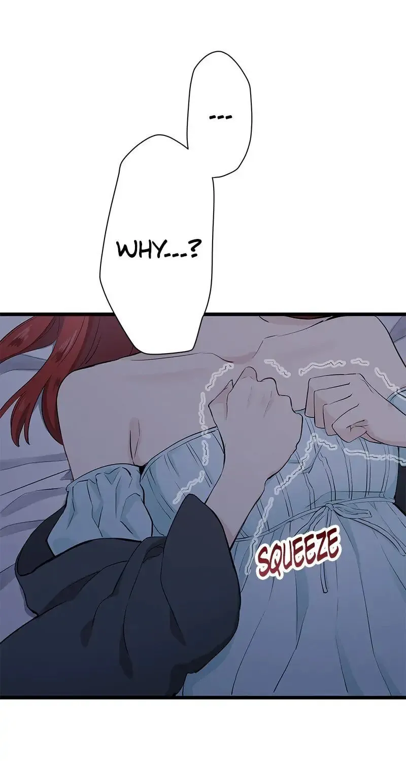 Nullitas ~The Counterfeit Bride~ Chapter 24 page 34 - 