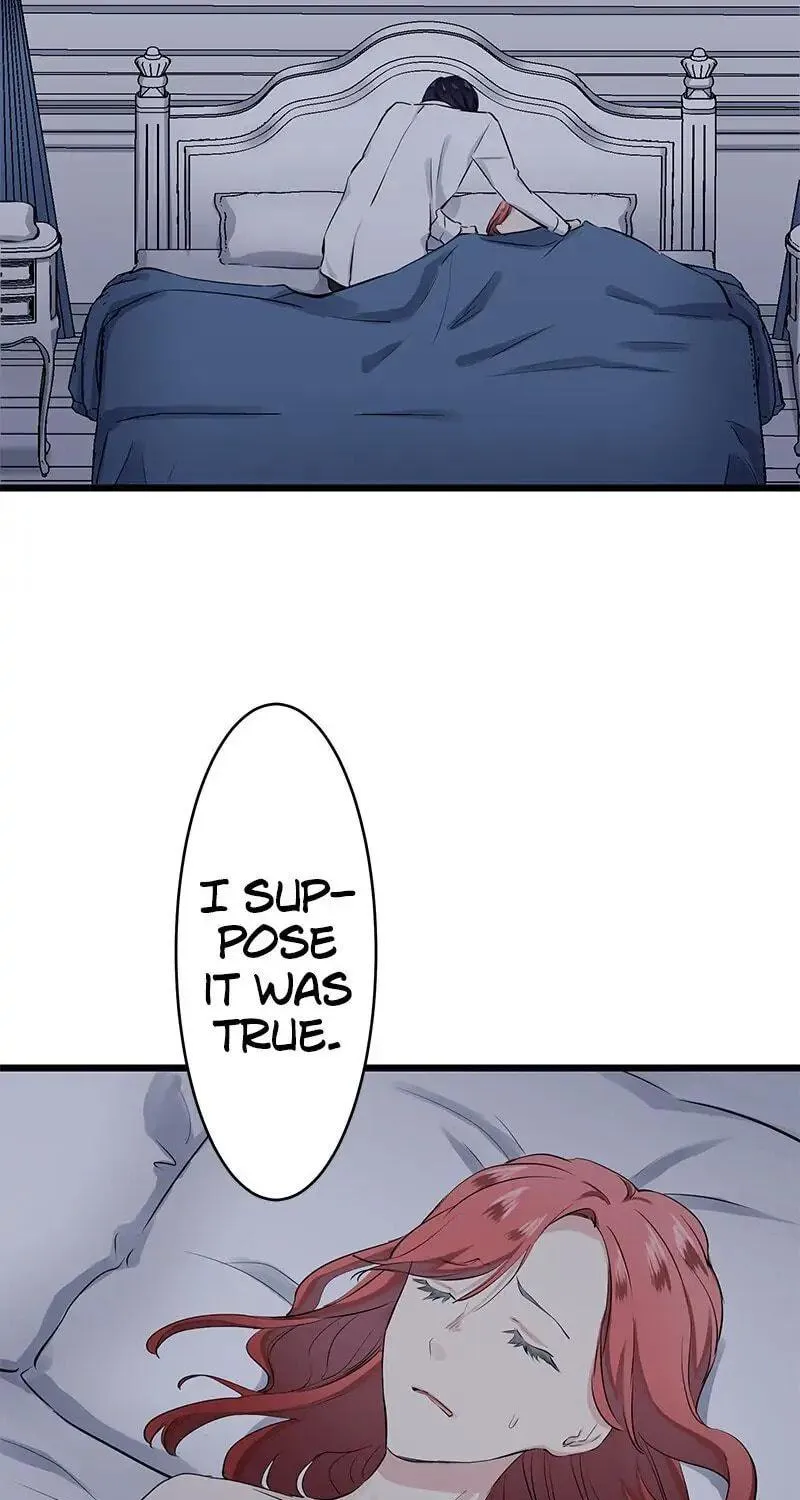 Nullitas ~The Counterfeit Bride~ Chapter 24 page 73 - 