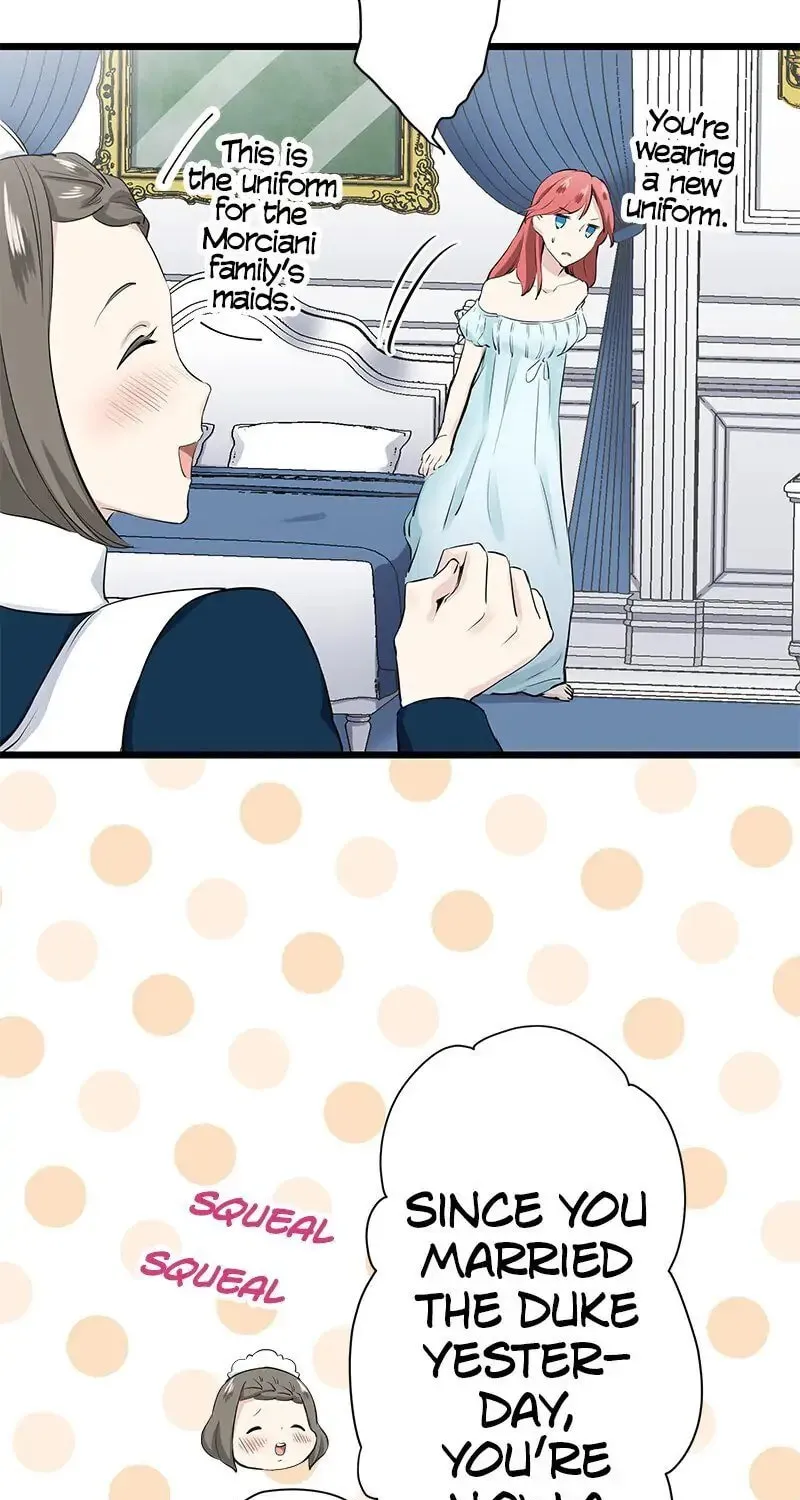 Nullitas ~The Counterfeit Bride~ Chapter 24 page 95 - 