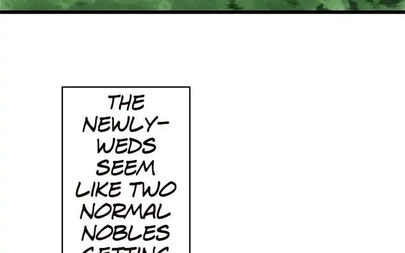 Nullitas ~The Counterfeit Bride~ Chapter 26 page 2 - 