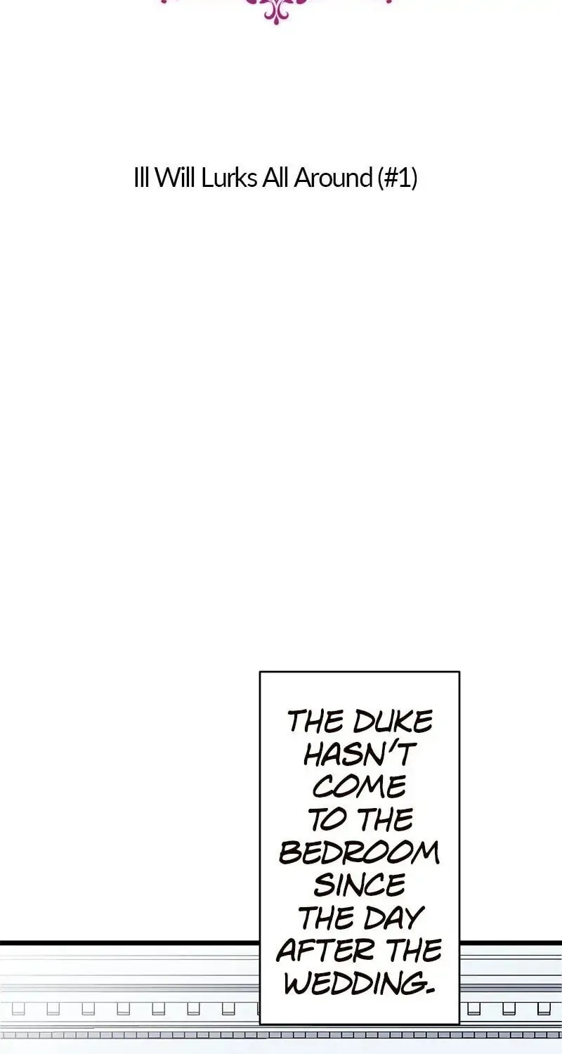 Nullitas ~The Counterfeit Bride~ Chapter 26 page 15 - 