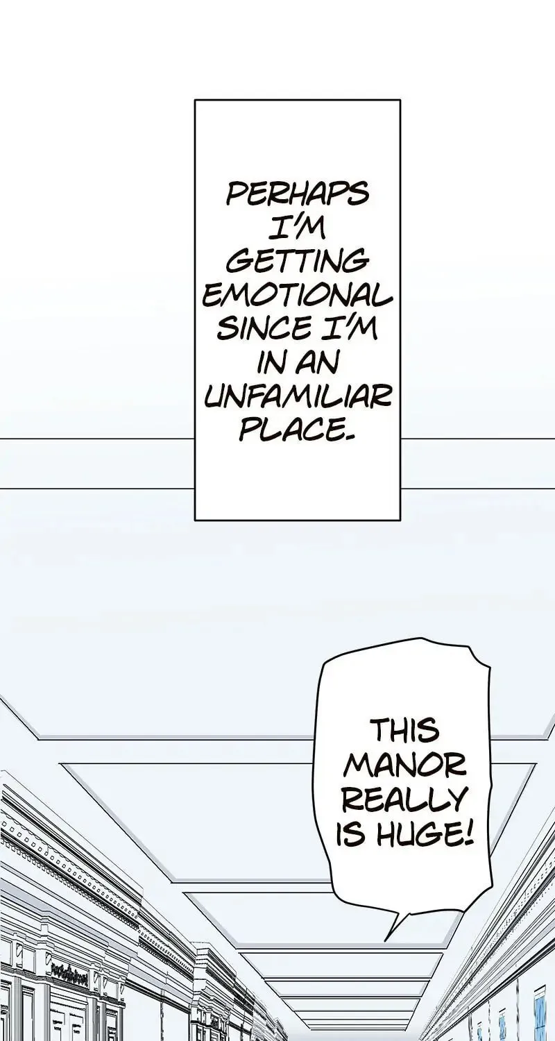 Nullitas ~The Counterfeit Bride~ Chapter 26 page 25 - 