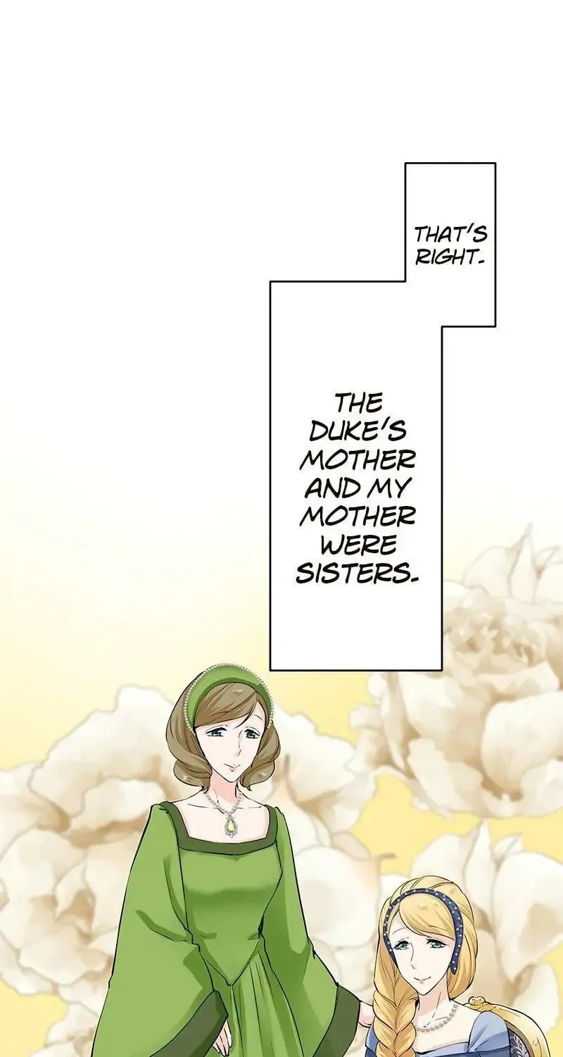 Nullitas ~The Counterfeit Bride~ Chapter 26 page 85 - 