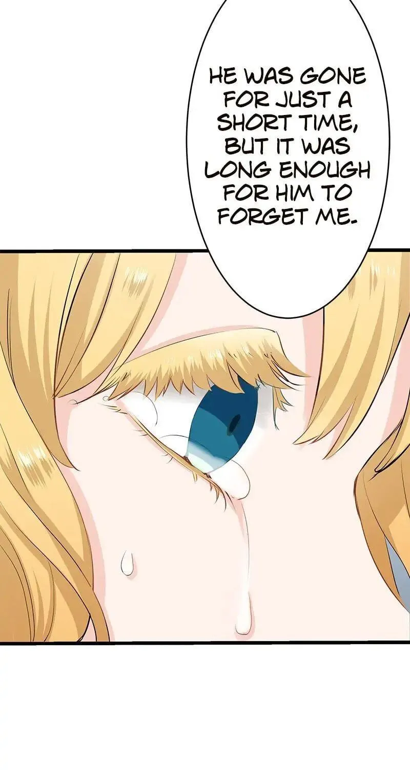 Nullitas ~The Counterfeit Bride~ Chapter 26 page 91 - 
