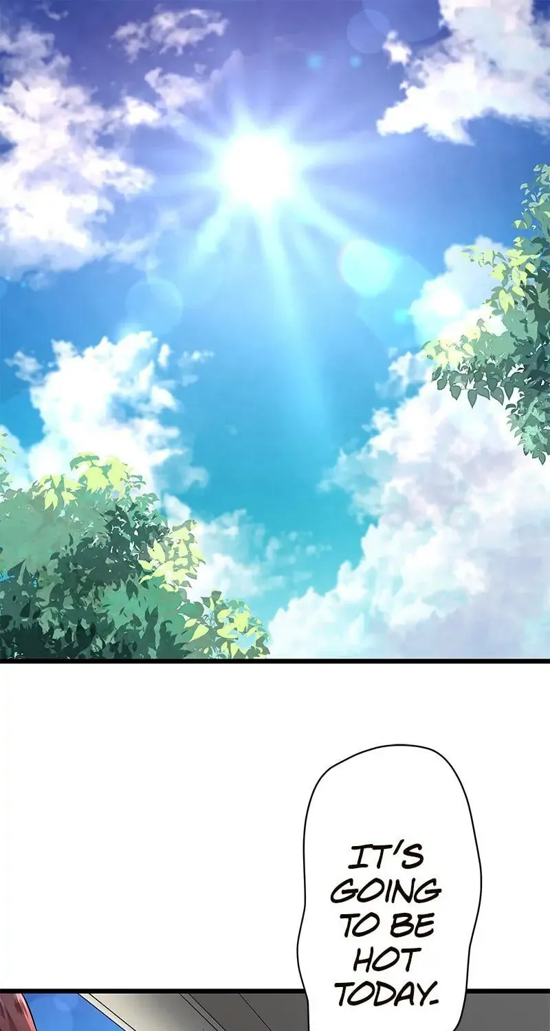Nullitas ~The Counterfeit Bride~ Chapter 27 page 1 - 