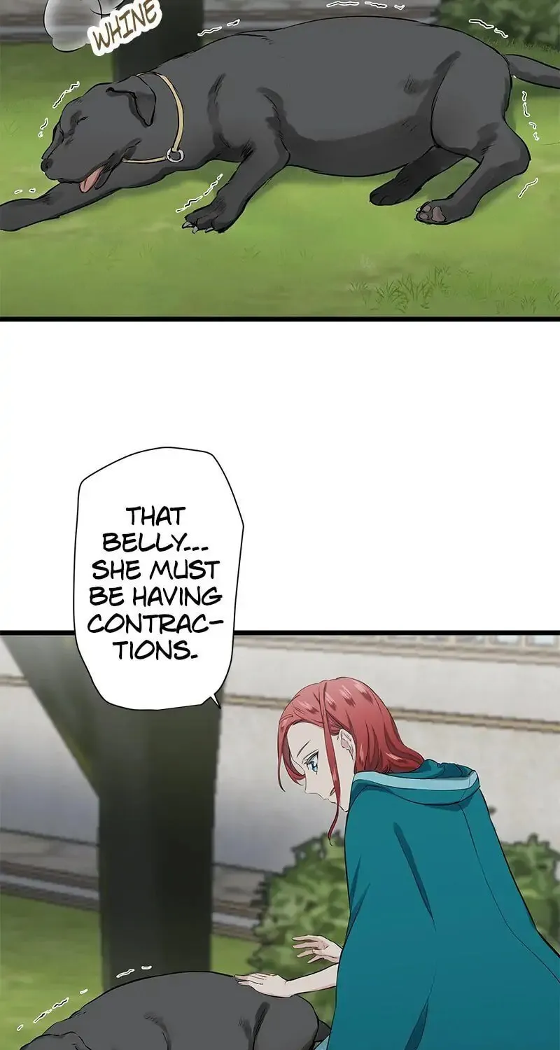 Nullitas ~The Counterfeit Bride~ Chapter 28 page 25 - 