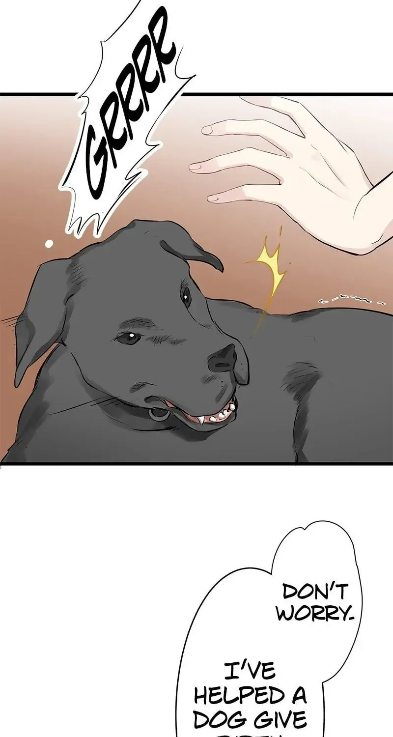 Nullitas ~The Counterfeit Bride~ Chapter 28 page 27 - 