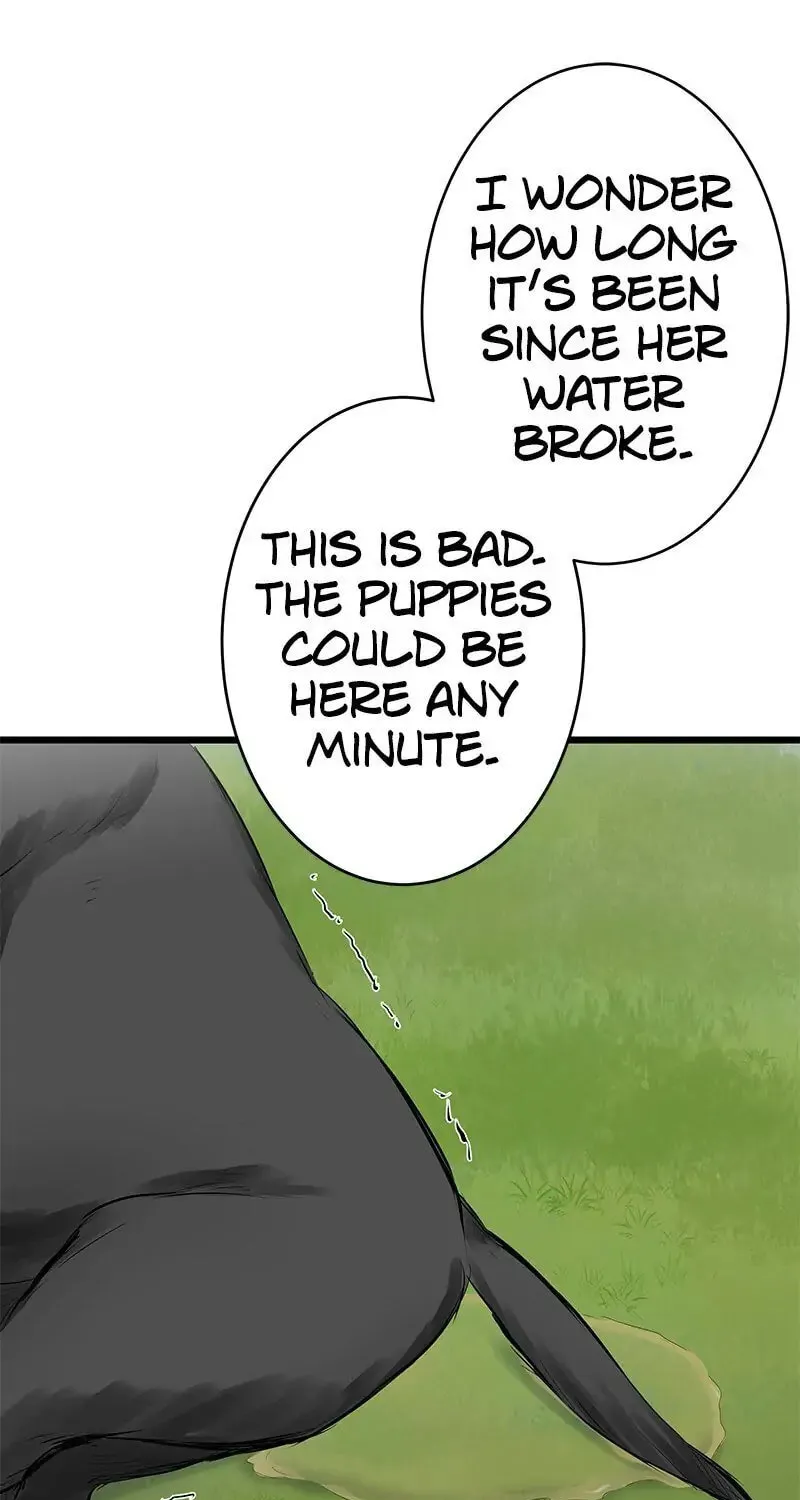 Nullitas ~The Counterfeit Bride~ Chapter 28 page 30 - 