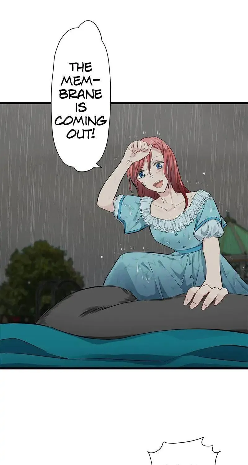 Nullitas ~The Counterfeit Bride~ Chapter 28 page 40 - 