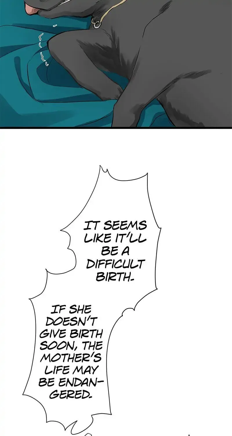 Nullitas ~The Counterfeit Bride~ Chapter 28 page 42 - 