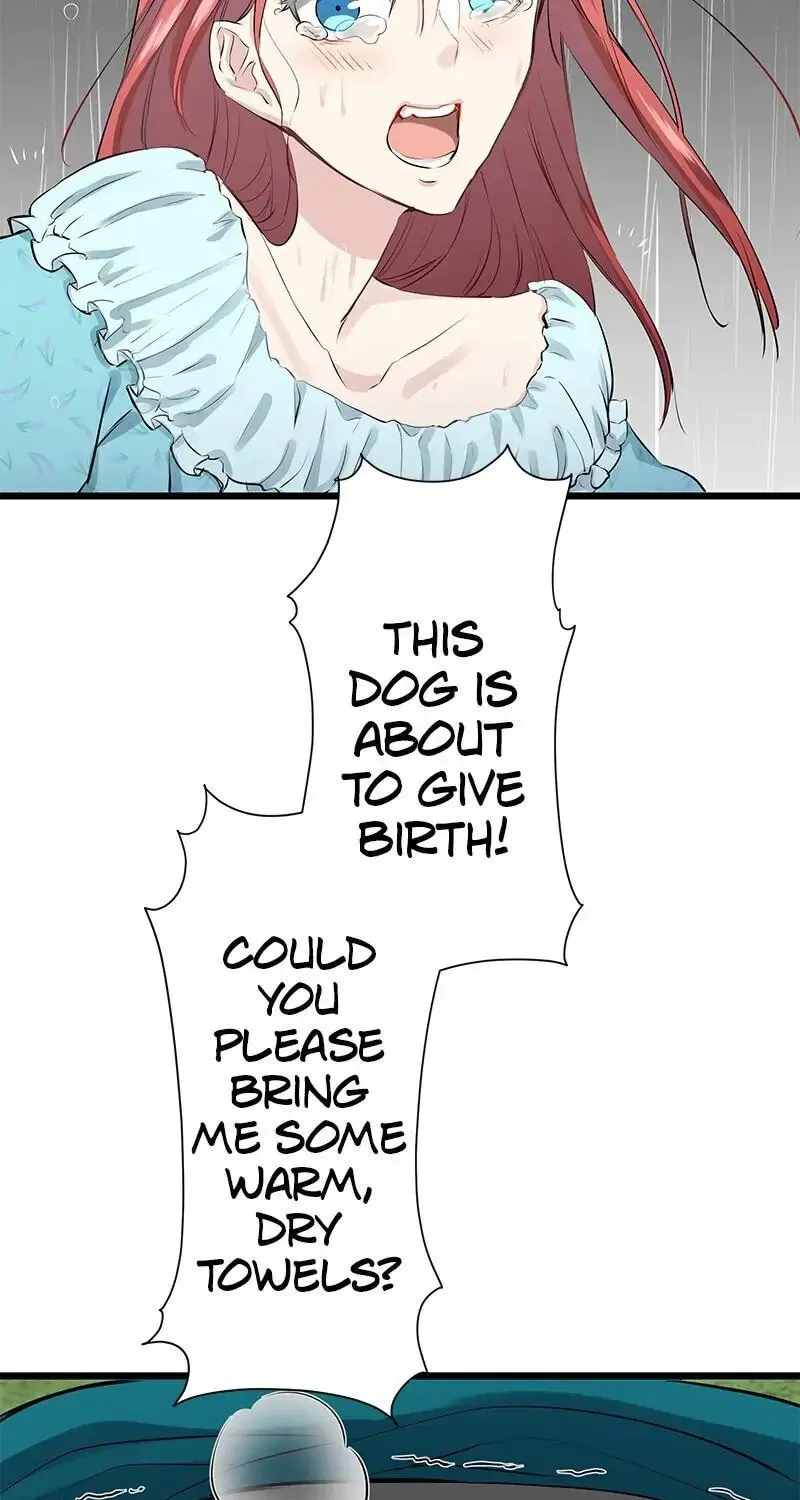 Nullitas ~The Counterfeit Bride~ Chapter 28 page 55 - 