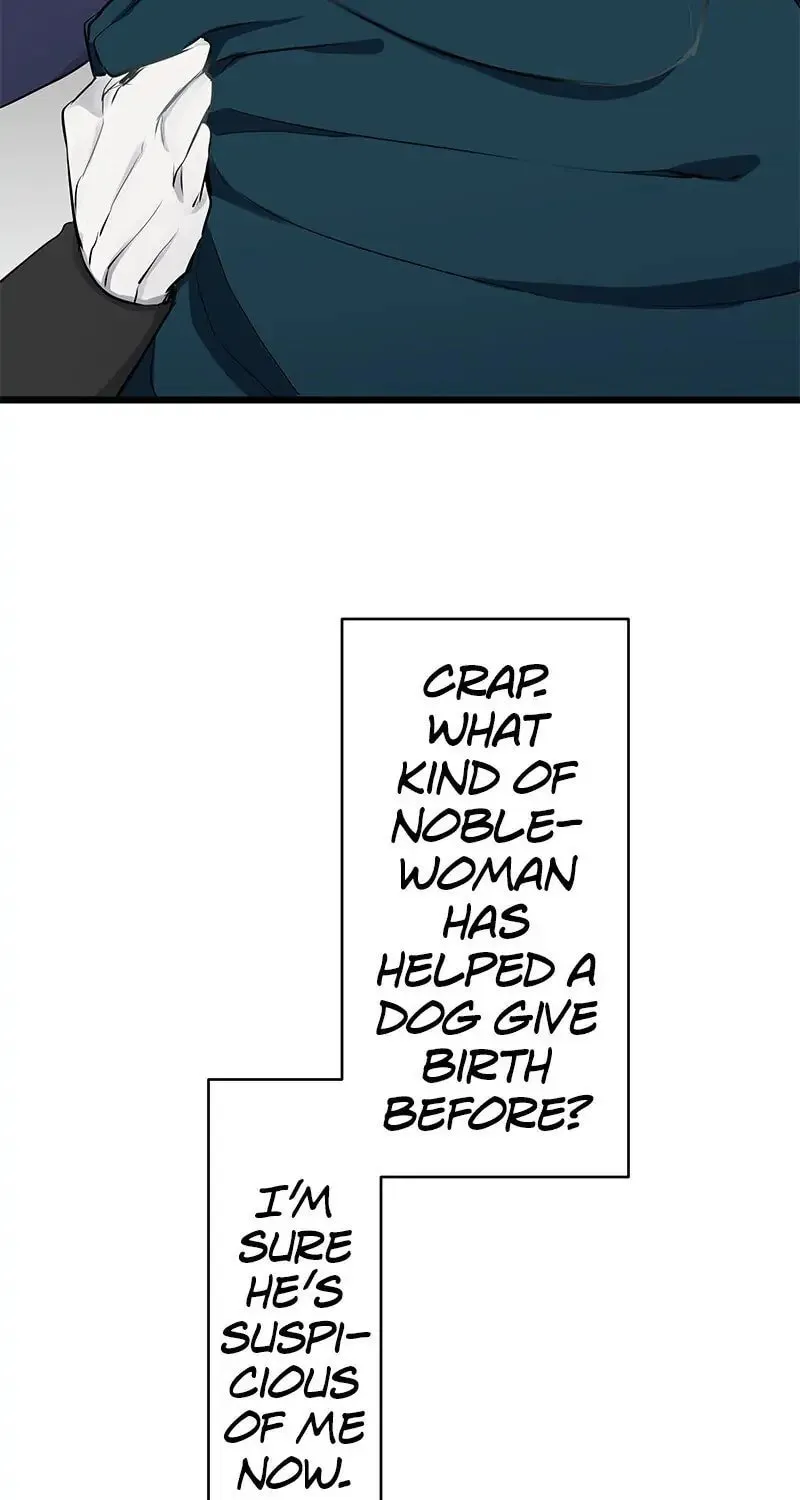 Nullitas ~The Counterfeit Bride~ Chapter 28 page 73 - 