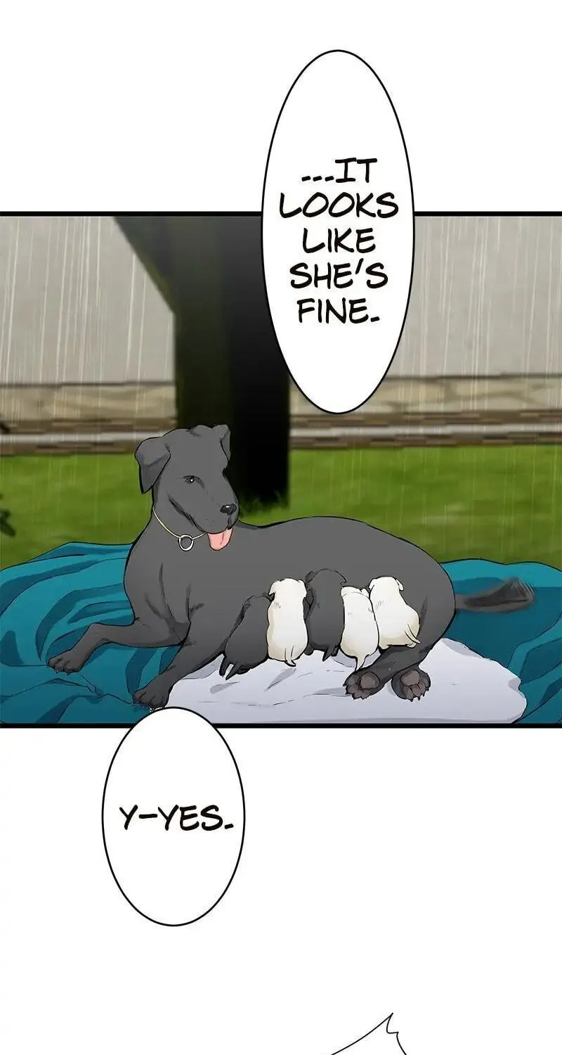 Nullitas ~The Counterfeit Bride~ Chapter 29 page 11 - 