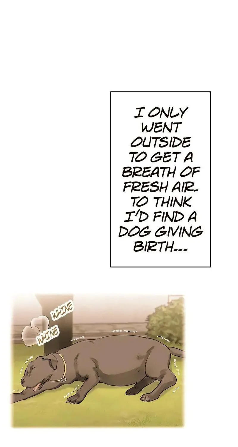 Nullitas ~The Counterfeit Bride~ Chapter 29 page 22 - 