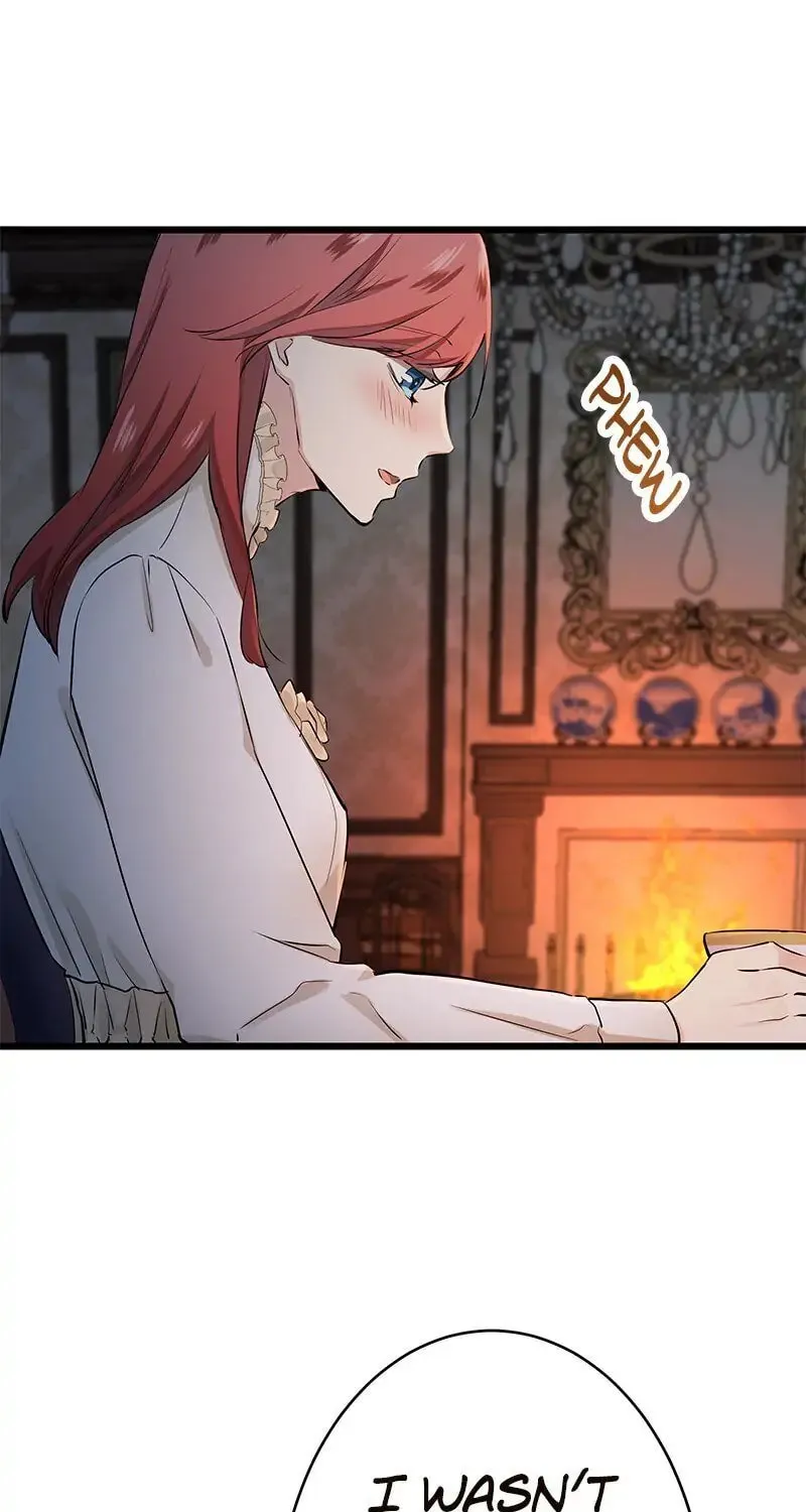Nullitas ~The Counterfeit Bride~ Chapter 29 page 49 - 
