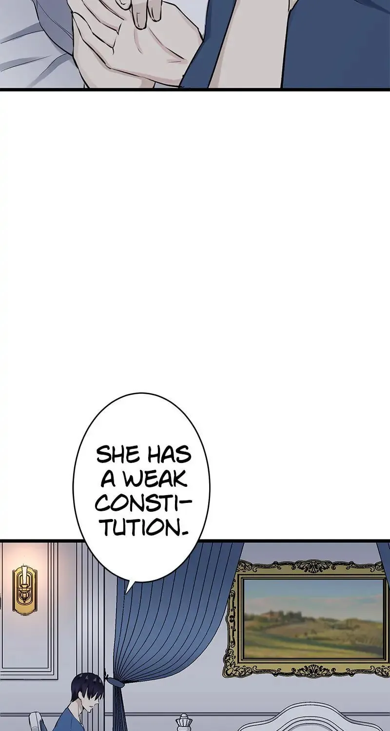Nullitas ~The Counterfeit Bride~ Chapter 29 page 84 - 
