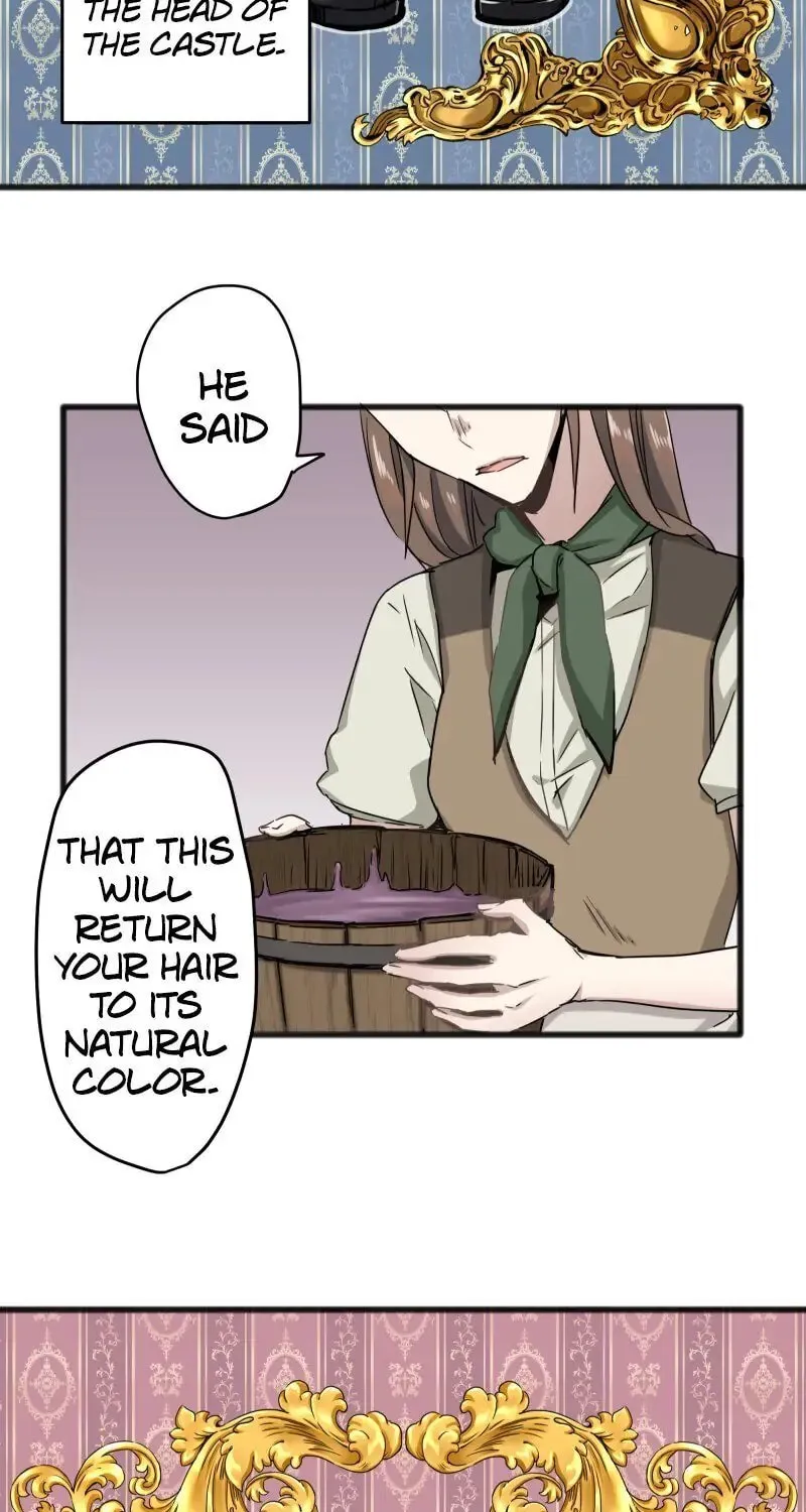 Nullitas ~The Counterfeit Bride~ Chapter 3 page 25 - 