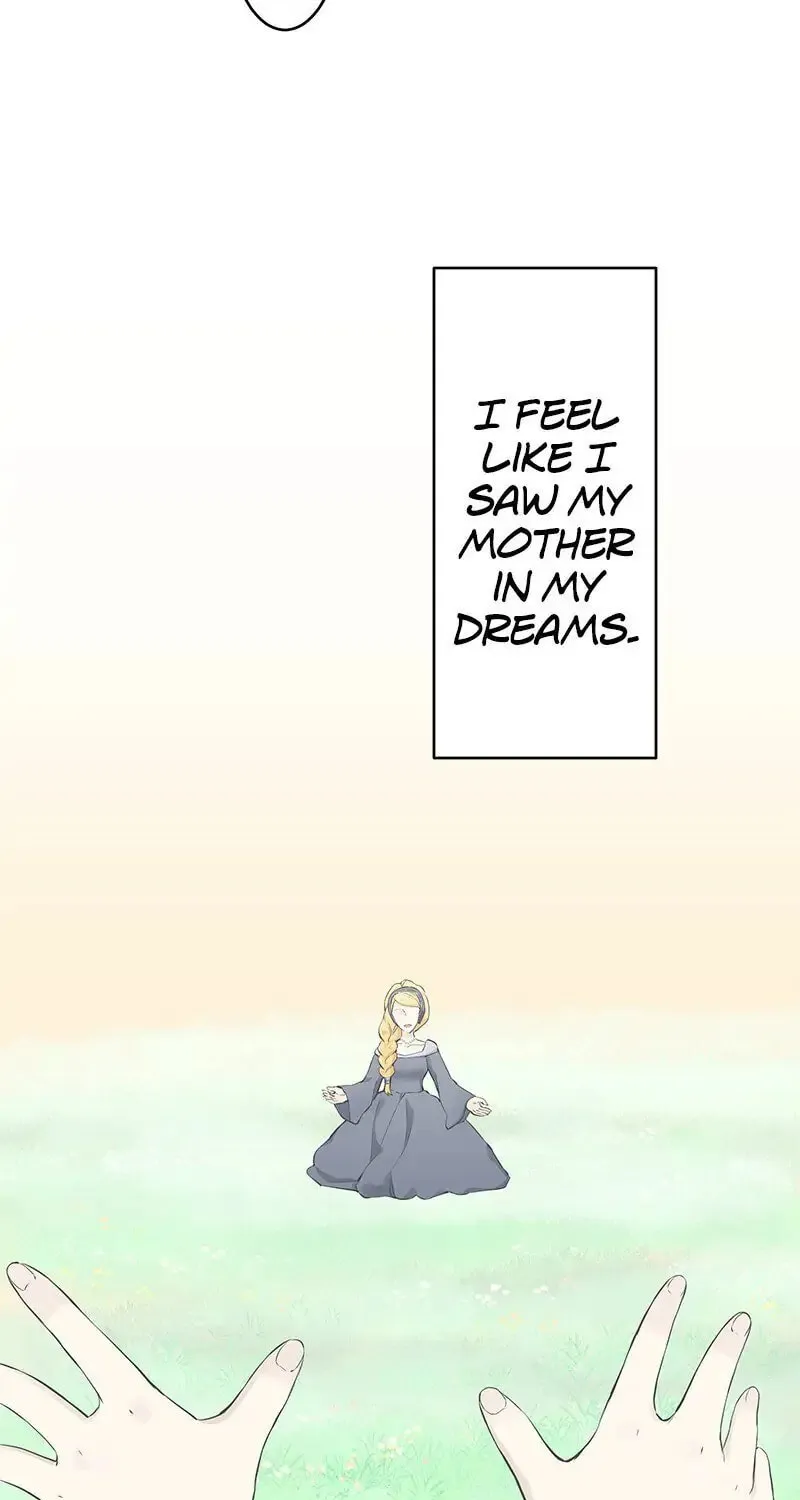 Nullitas ~The Counterfeit Bride~ Chapter 30 page 35 - 