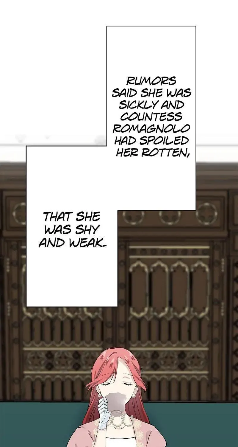 Nullitas ~The Counterfeit Bride~ Chapter 31 page 16 - 