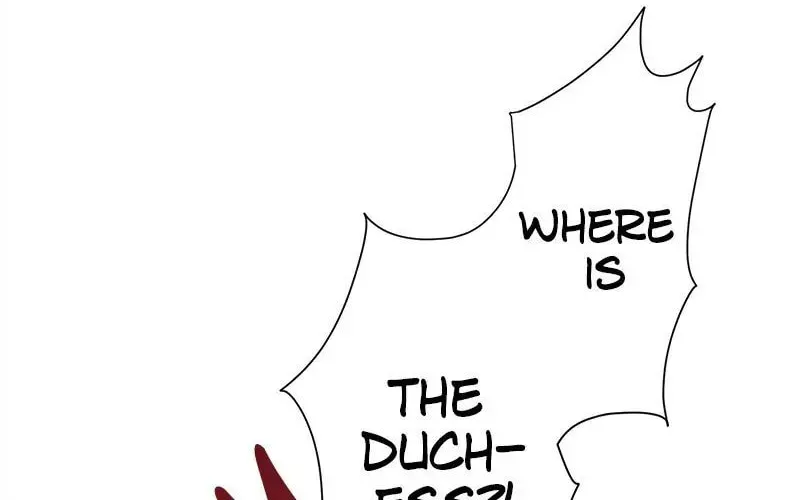 Nullitas ~The Counterfeit Bride~ Chapter 32 page 2 - 