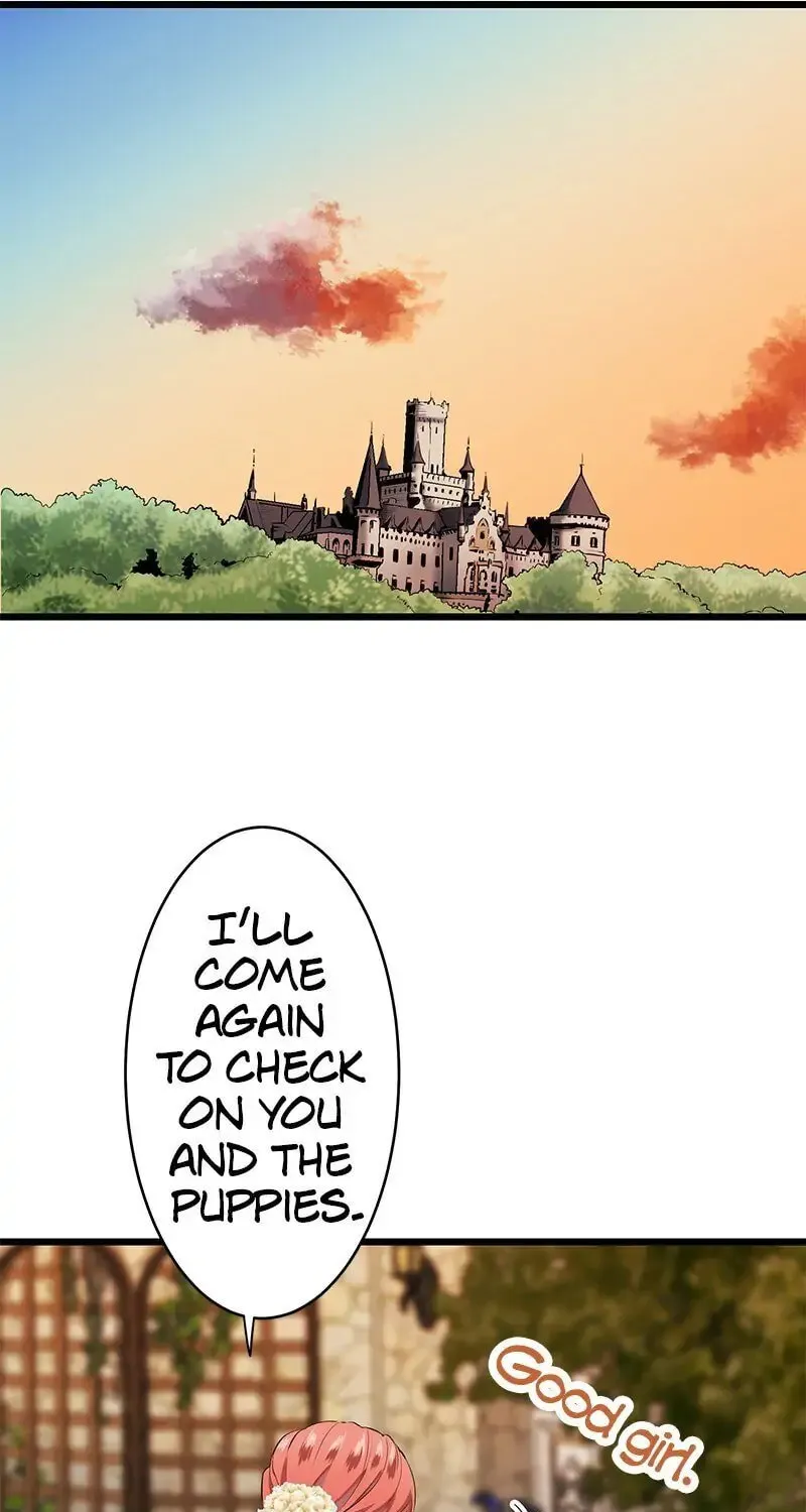 Nullitas ~The Counterfeit Bride~ Chapter 33 page 73 - 