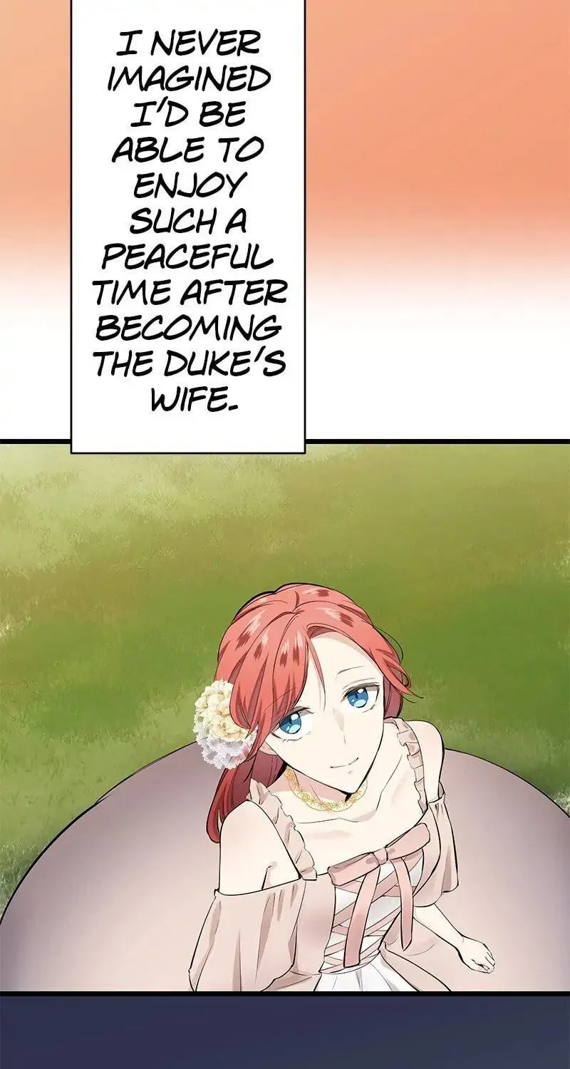 Nullitas ~The Counterfeit Bride~ Chapter 34 page 5 - 