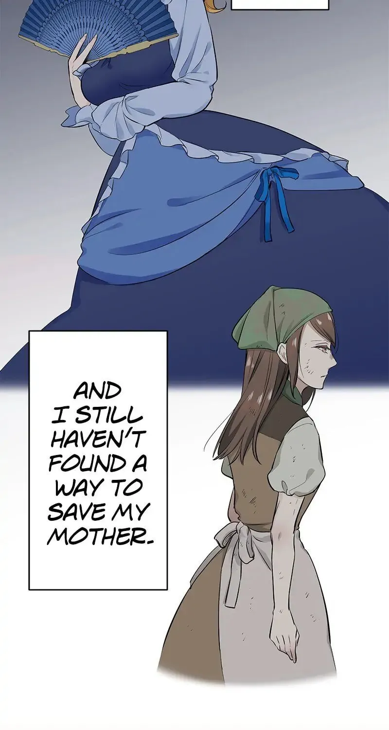 Nullitas ~The Counterfeit Bride~ Chapter 34 page 7 - 