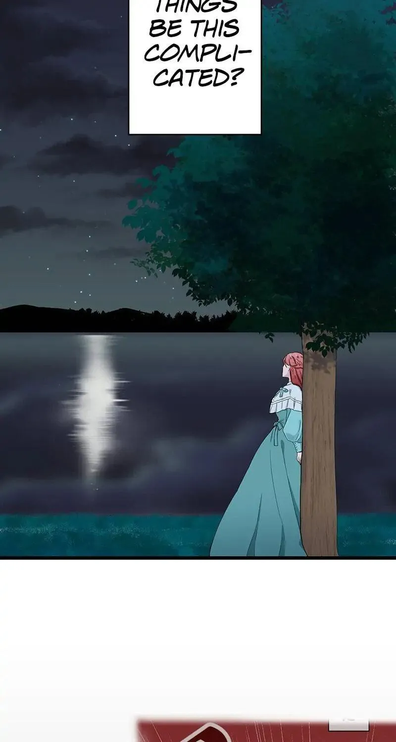 Nullitas ~The Counterfeit Bride~ Chapter 35 page 5 - 