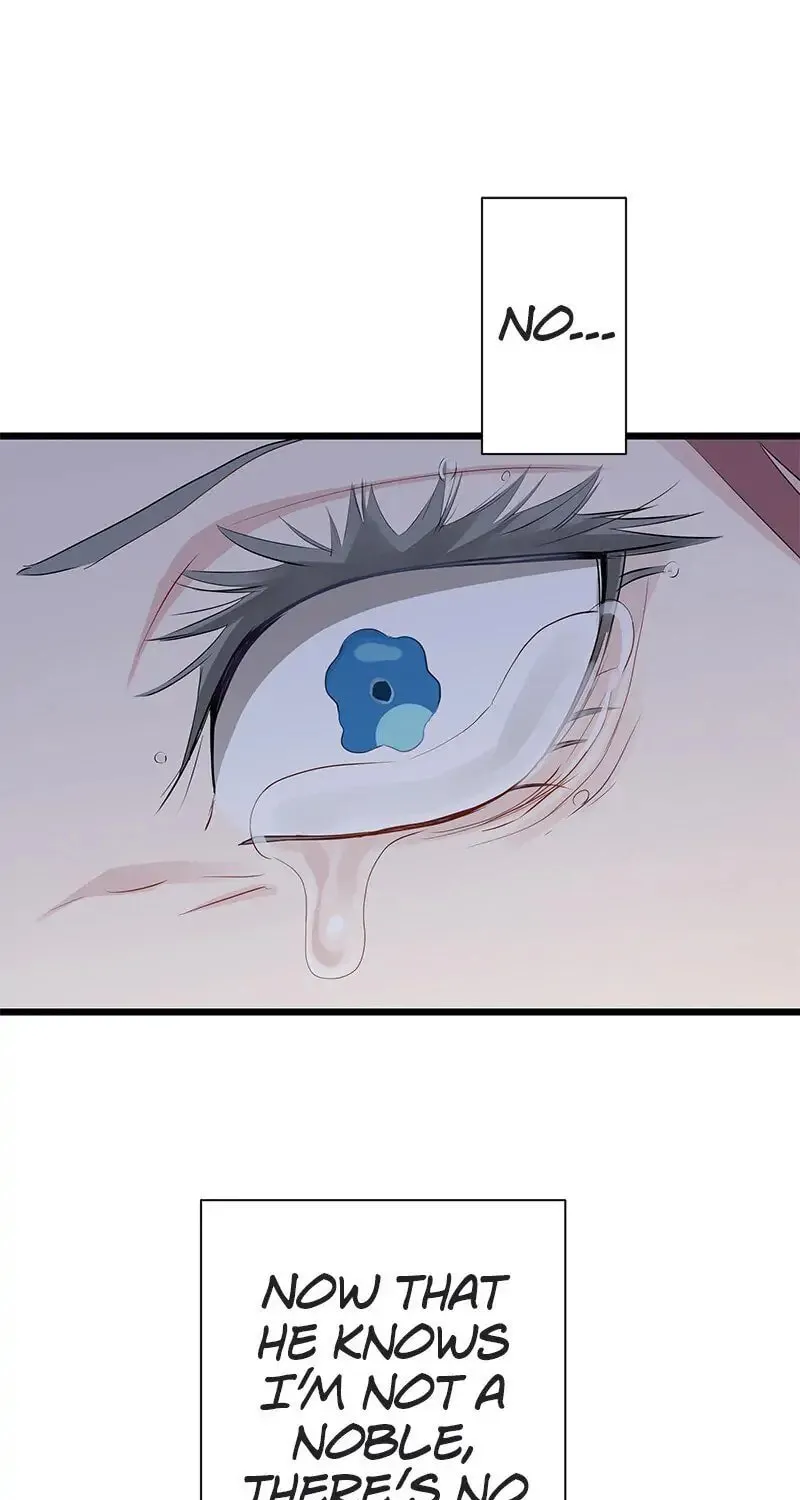 Nullitas ~The Counterfeit Bride~ Chapter 42 page 19 - 