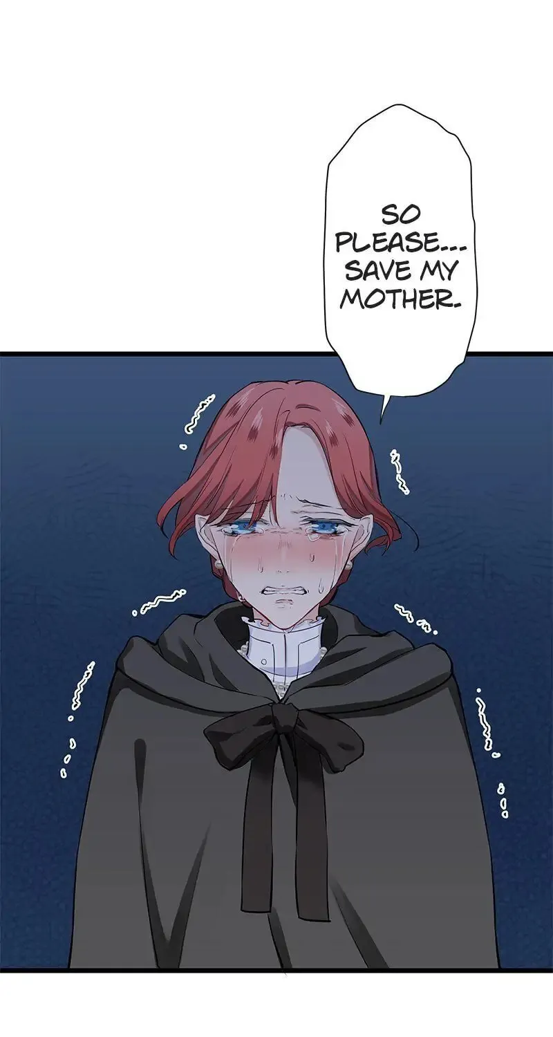 Nullitas ~The Counterfeit Bride~ Chapter 42 page 25 - 