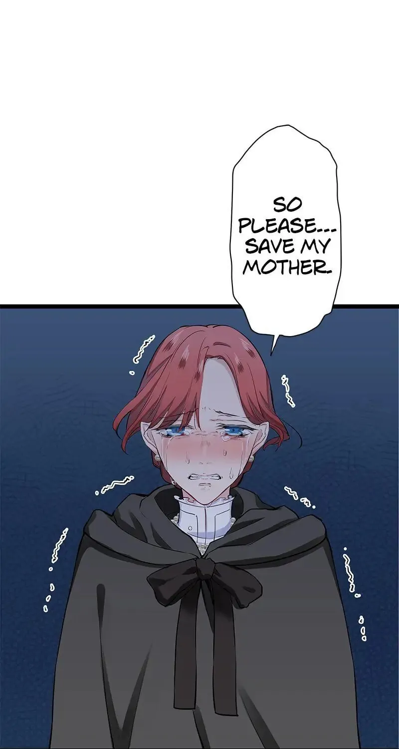 Nullitas ~The Counterfeit Bride~ Chapter 43 page 1 - 