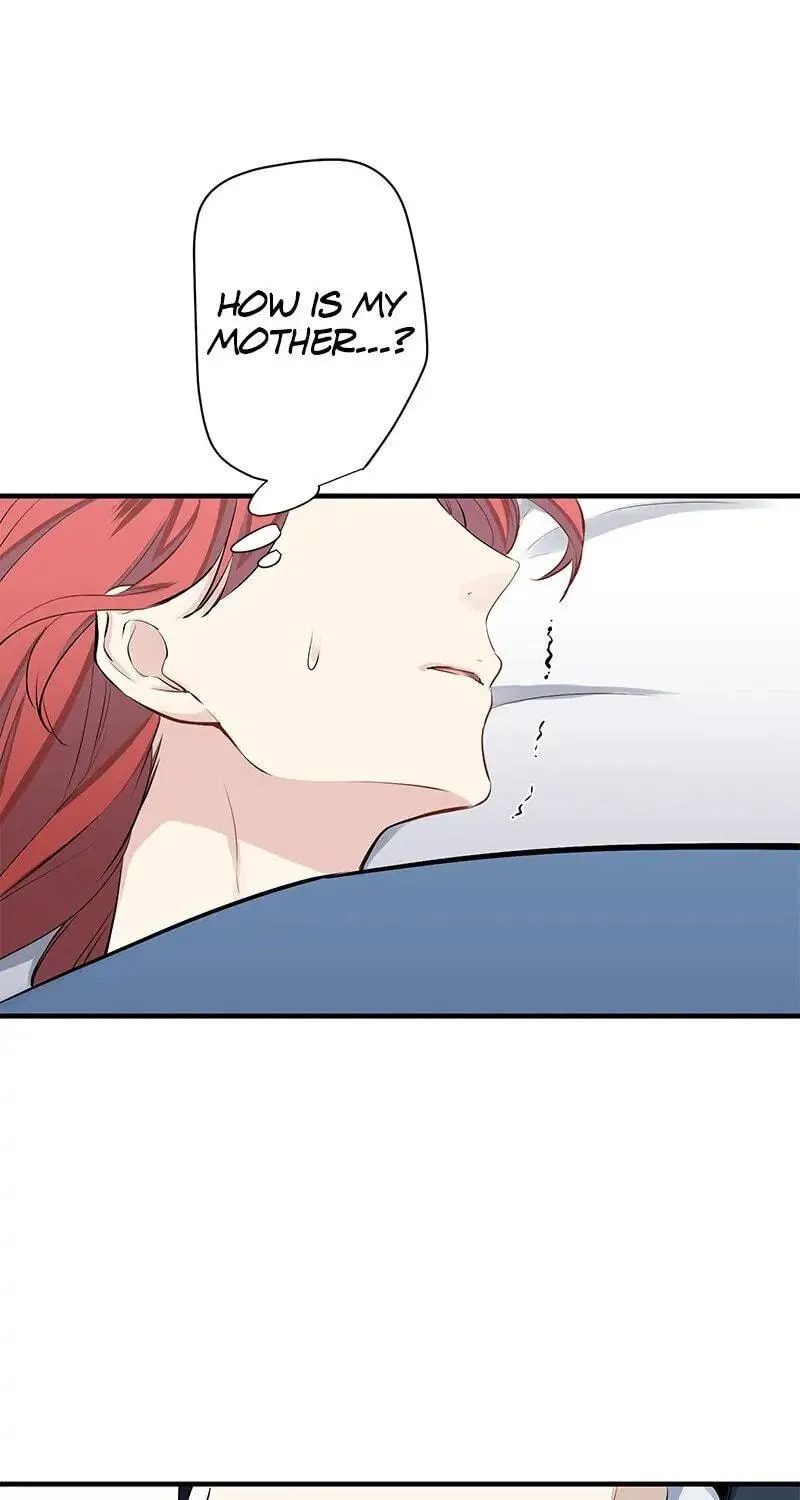 Nullitas ~The Counterfeit Bride~ Chapter 46 page 65 - 