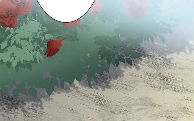 Nullitas ~The Counterfeit Bride~ Chapter 47 page 67 - 