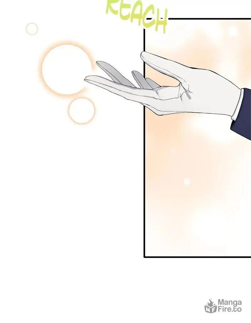 Nullitas ~The Counterfeit Bride~ Chapter 47 page 9 - 