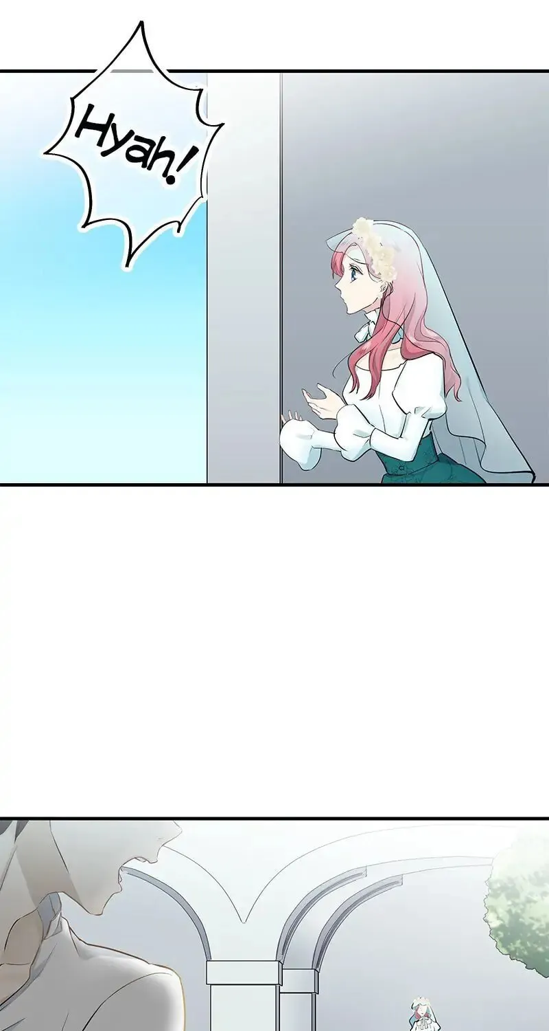 Nullitas ~The Counterfeit Bride~ Chapter 49 page 12 - 
