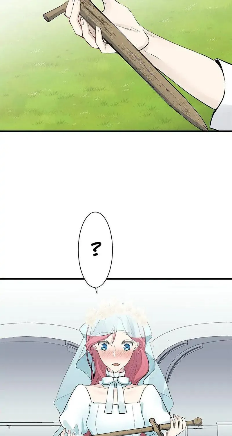 Nullitas ~The Counterfeit Bride~ Chapter 49 page 33 - 