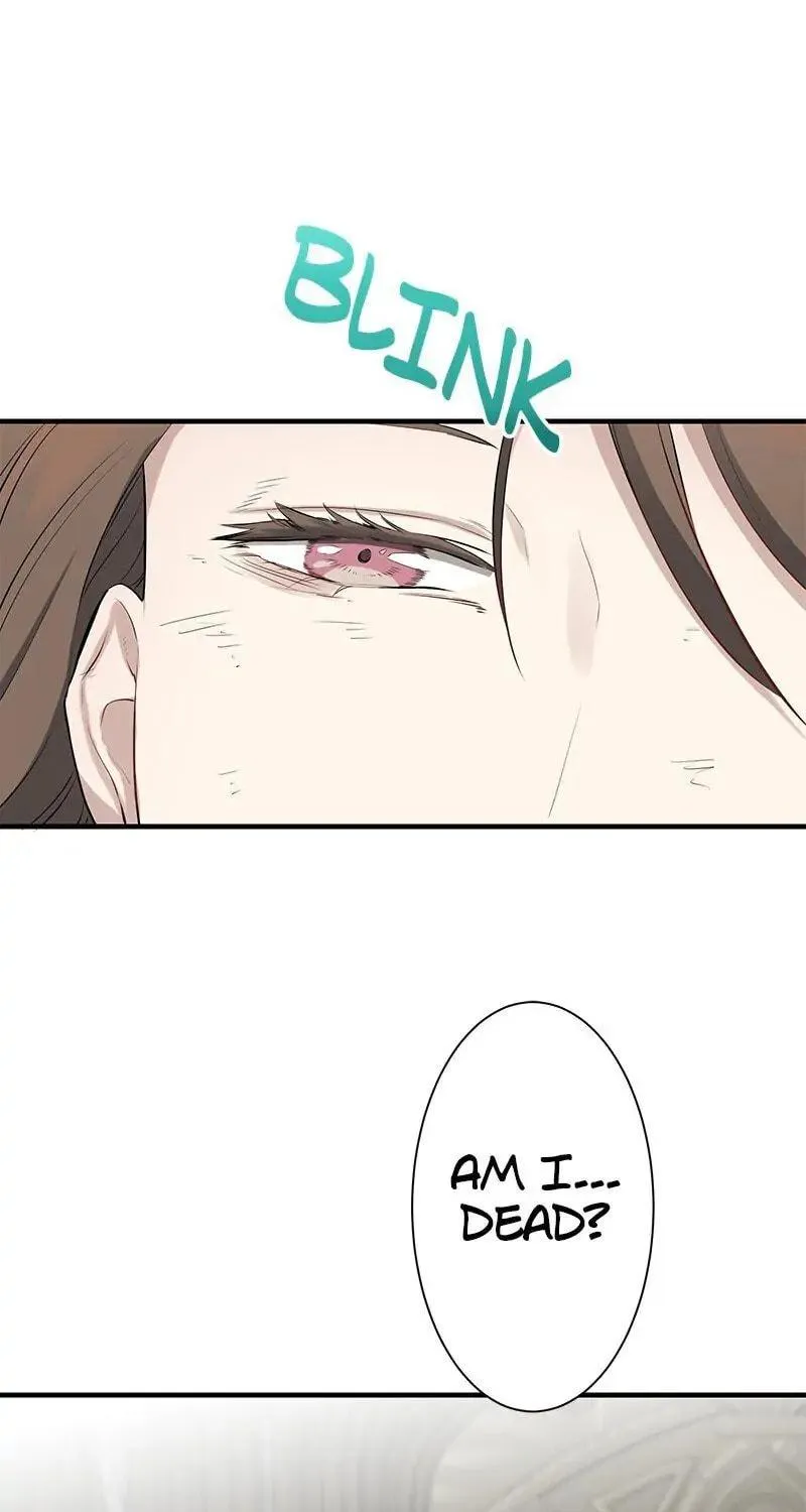 Nullitas ~The Counterfeit Bride~ Chapter 49 page 71 - 