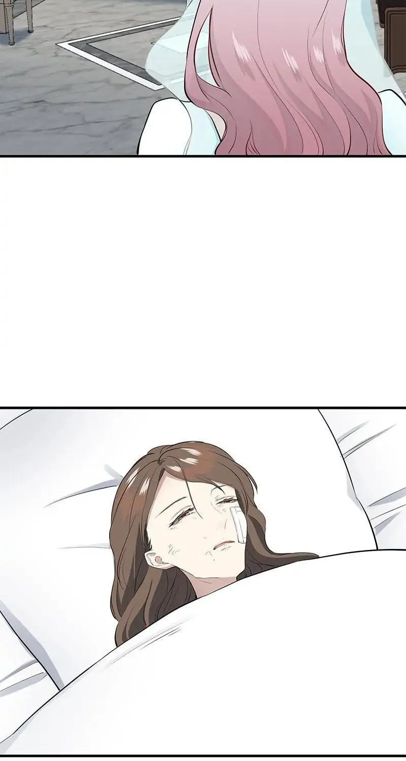 Nullitas ~The Counterfeit Bride~ Chapter 49 page 73 - 